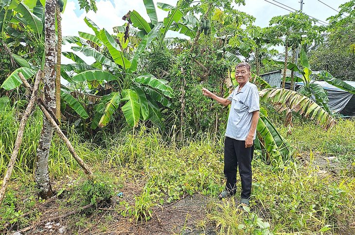 Ông Trương Văn Trình tại phần đất mà ông đang đòi lại - Ảnh: ĐAN THUẦN Ông Trương Văn Trình tại phần đất mà ông đang đòi lại - Ảnh: ĐAN THUẦN