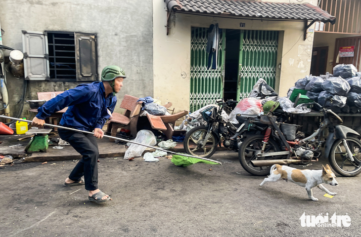 Ai có trách nhiệm bắt chó thả rông? - Ảnh 1. Nhiều người dân TP bày tỏ mong muốn các cơ quan chuyên môn và địa phương thành lập đội bắt chó thả rông, không đeo rọ mõm. Vậy việc thành lập các đội chuyên trách này ra sao? - Ảnh: CHÂU TUẤN