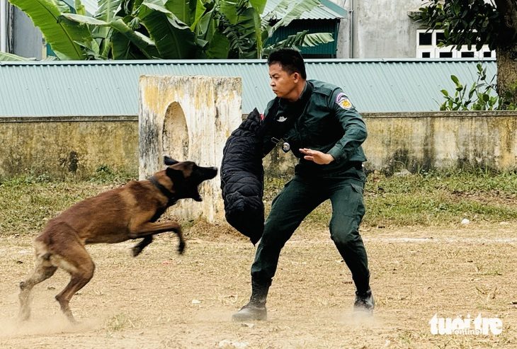 base64-1732530799808565352654 Cảnh sát Campuchia luyện tập huấn luyện chó nghiệp vụ trên thao trường Việt Nam - Ảnh 1.