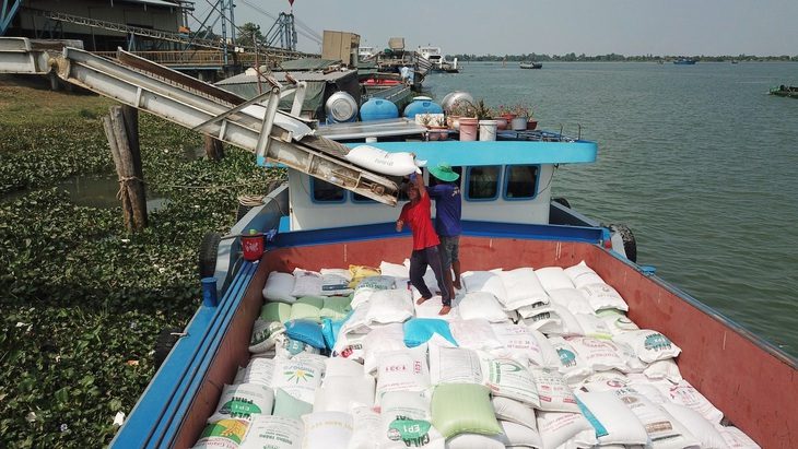 Trung Quốc, Indonesia tăng mua, gạo Việt kéo dài đà tăng giá - Ảnh: C. QUỐC Giá lúa gạo tăng trong bối cảnh thị trường gạo thế giới có nhiều biến động do lệnh cấm xuất khẩu ở nhiều nước - Ảnh: C.QUỐC